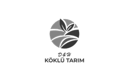 Köklü Tarım